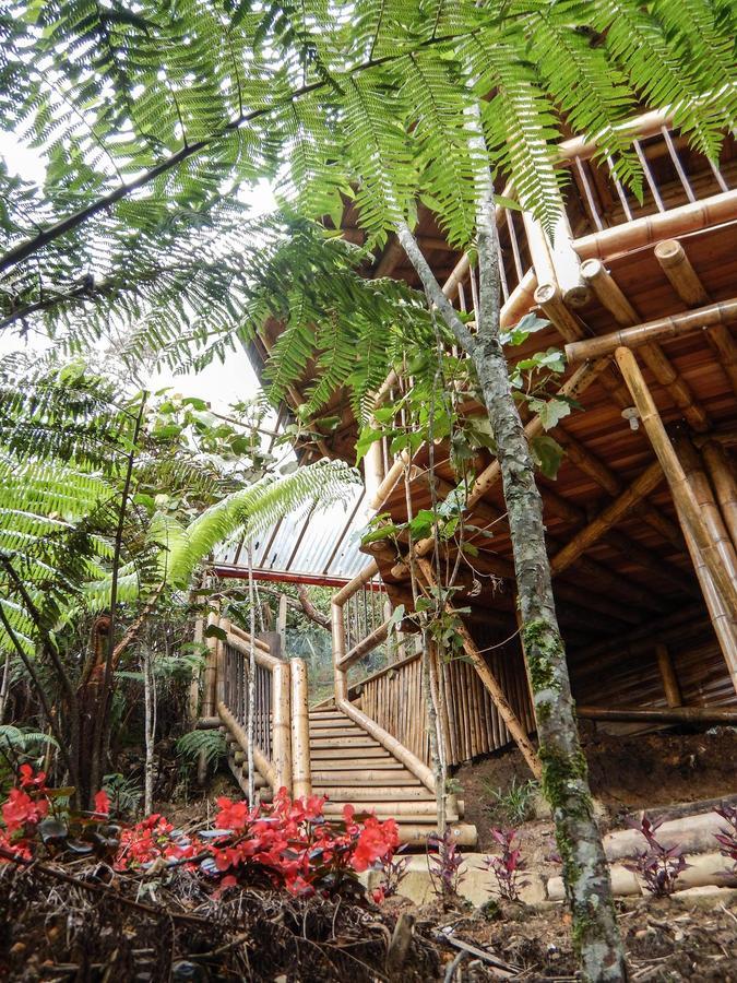 Hotel Guatape Adrianas Bambu 外观 照片
